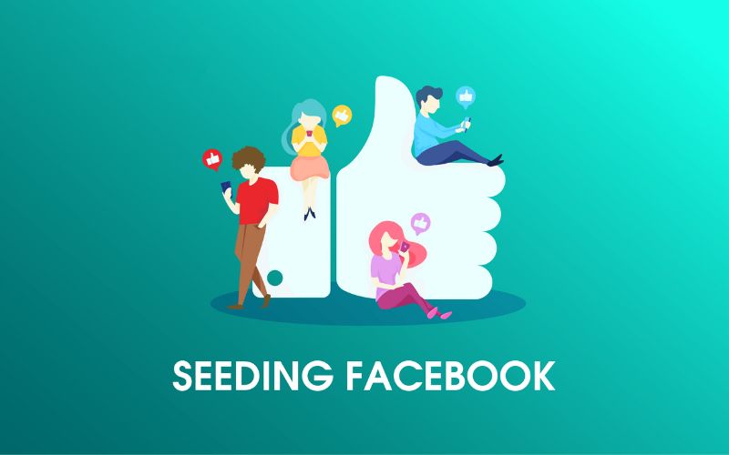 seeding facebook - ảnh 2 seeding facebook - ảnh 2