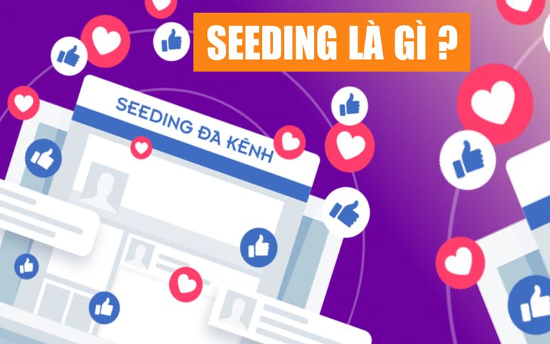 seeding facebook - ảnh 1 seeding facebook - ảnh 1