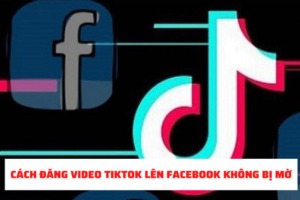 5 cách đăng video TikTok lên Facebook không bị mờ nhanh chóng