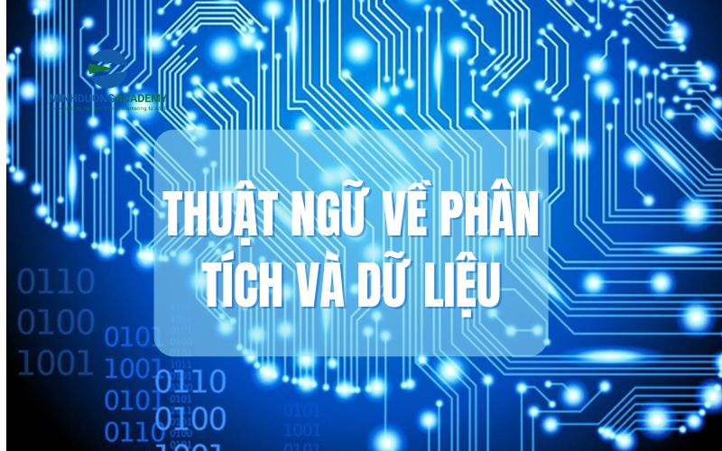 Thuật ngữ về phân tích và dữ liệu